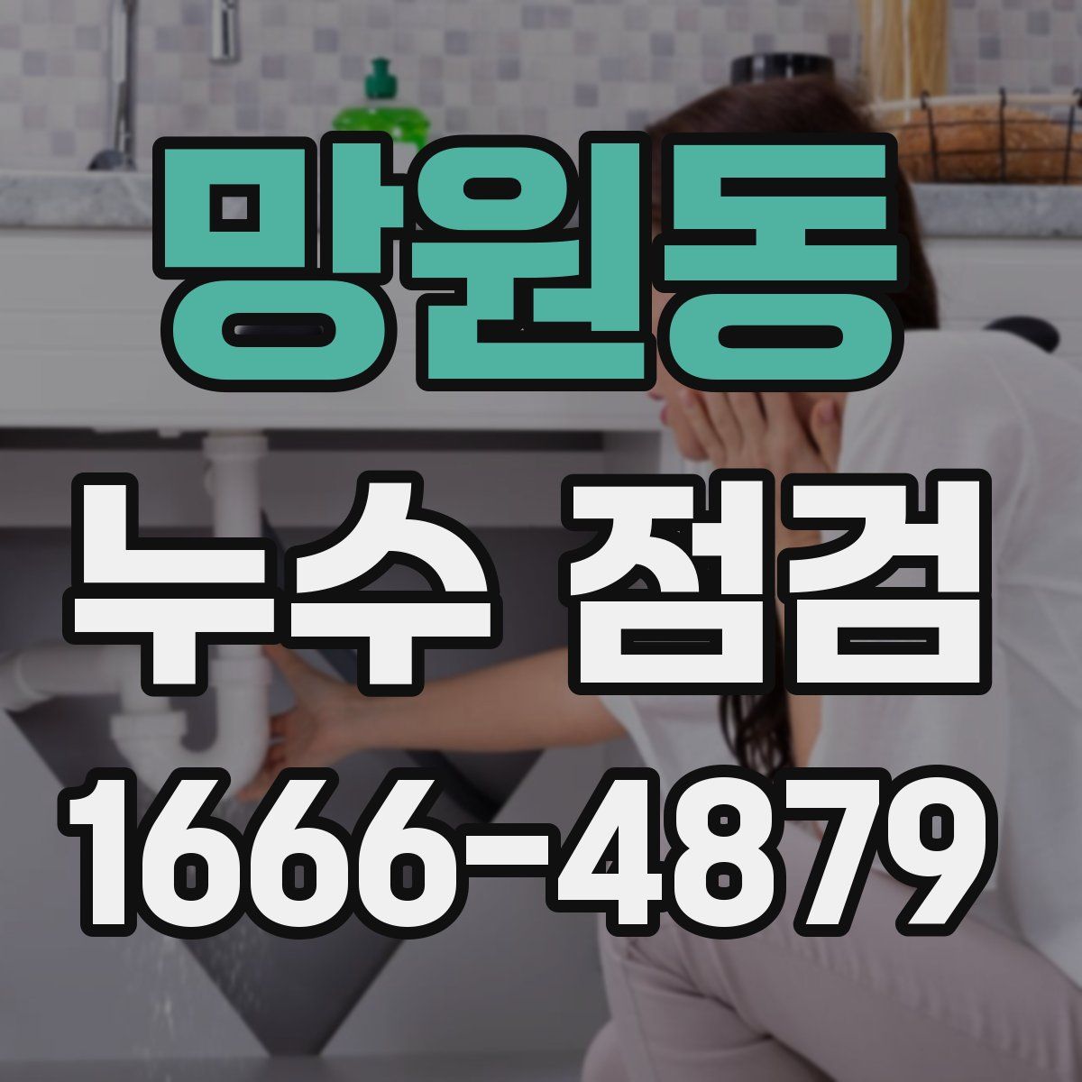망원동 누수 점검