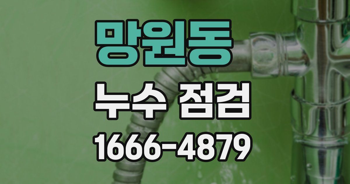 망원동 누수 점검