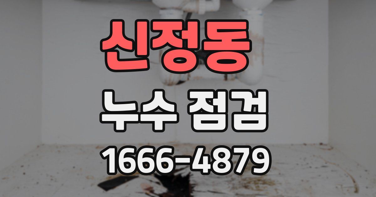 신정동 누수 점검