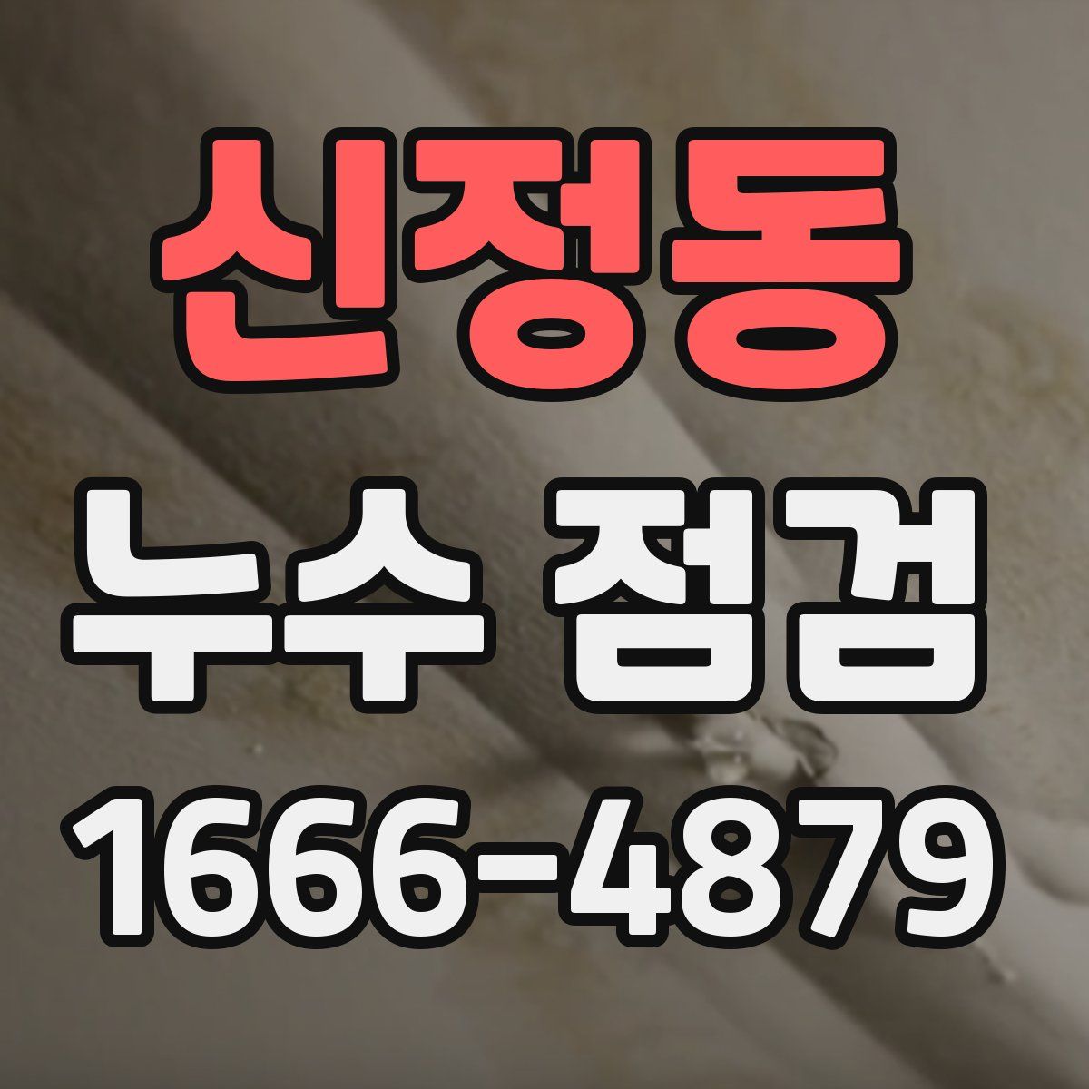 신정동 누수 점검