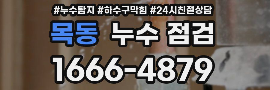 목동 누수 점검