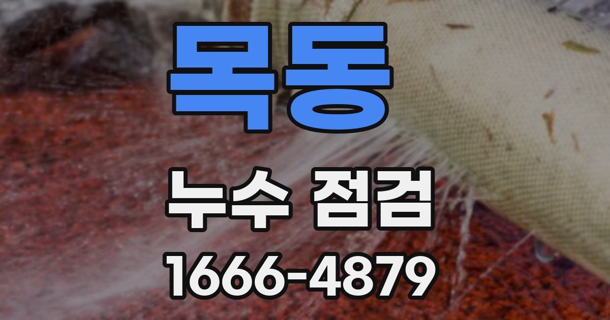 목동 누수 점검