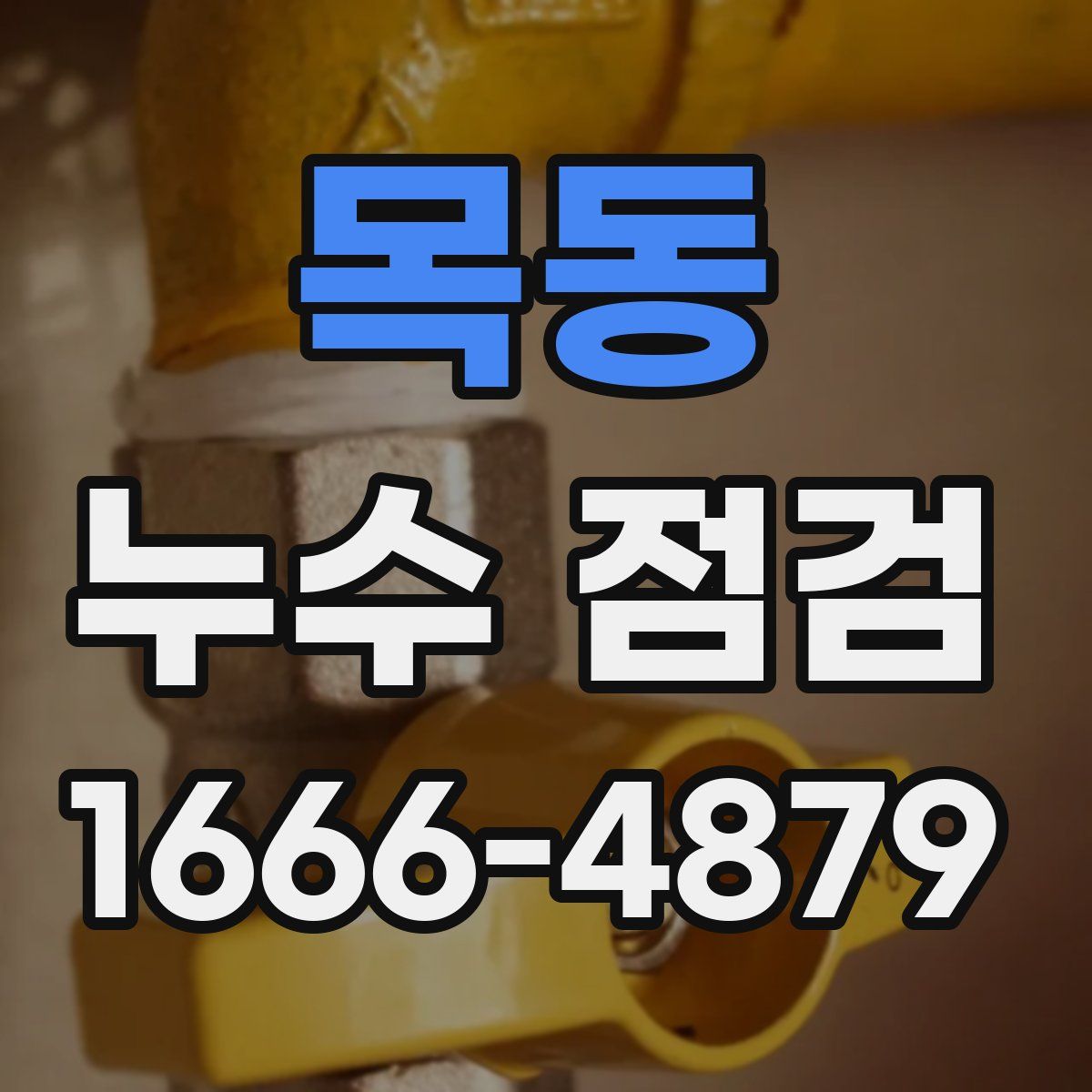 목동 누수 점검