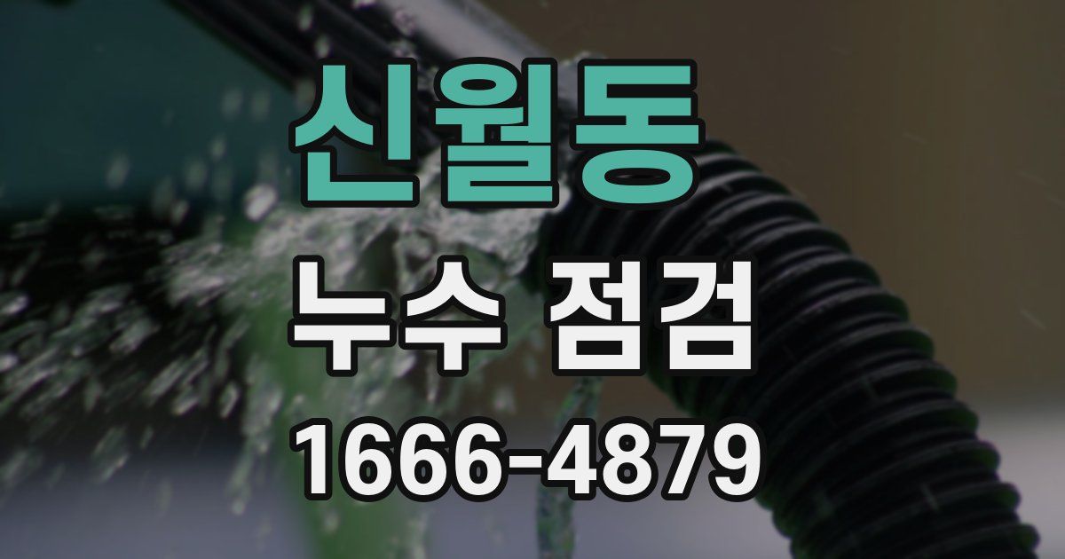 신월동 누수 점검