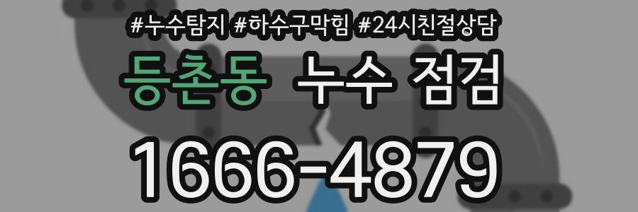 등촌동 누수 점검