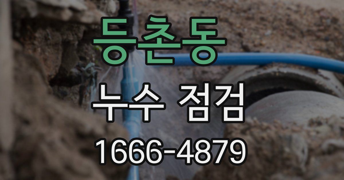 등촌동 누수 점검
