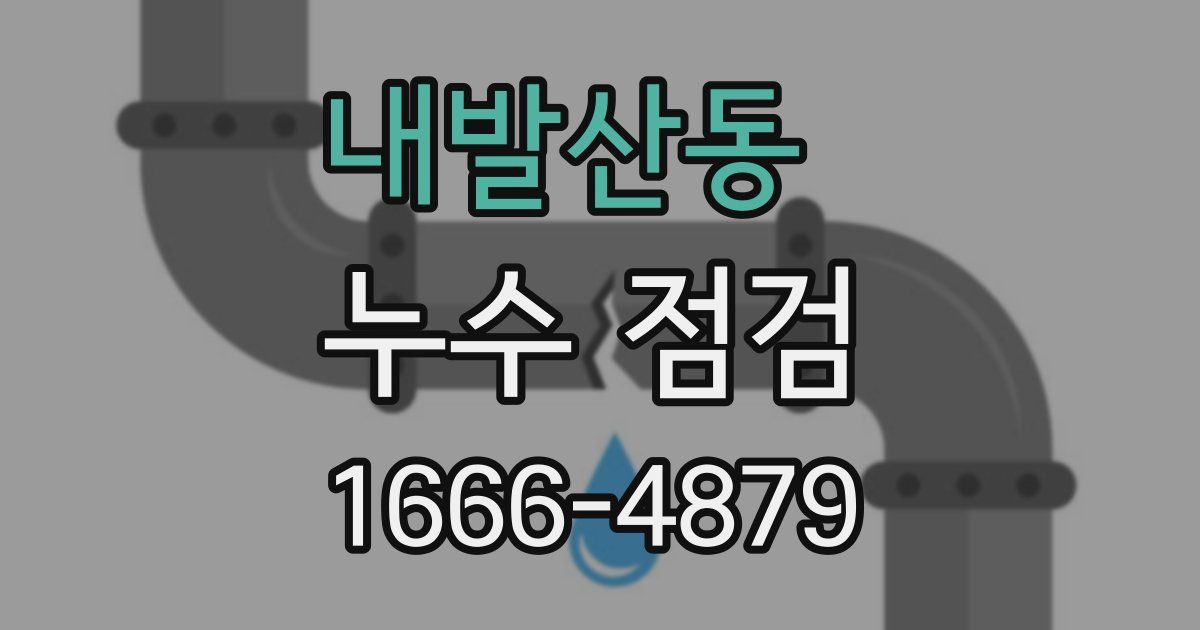 내발산동 누수 점검
