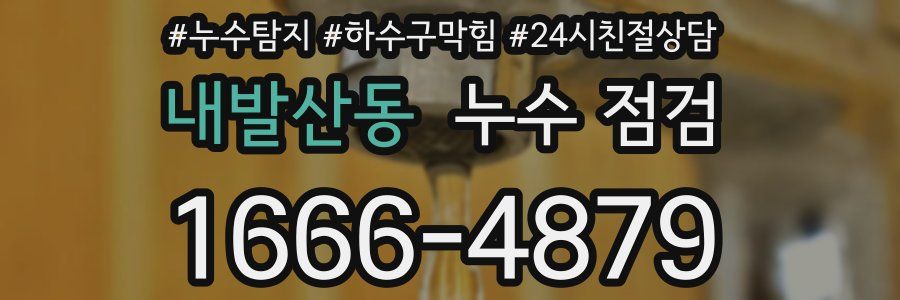 내발산동 누수 점검