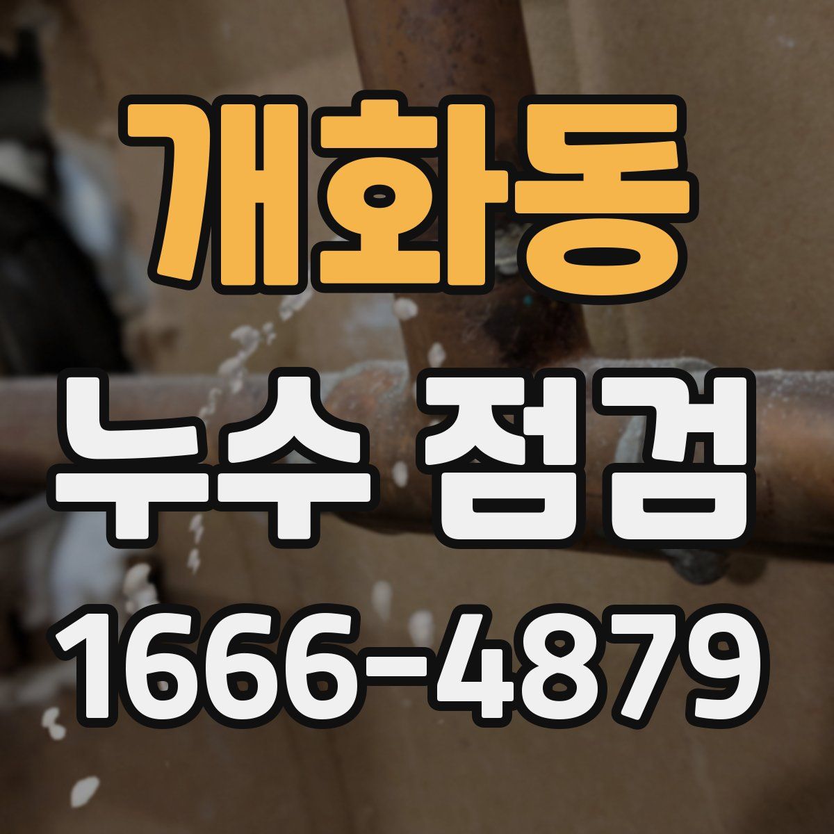 개화동 누수 점검