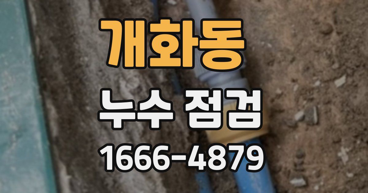개화동 누수 점검