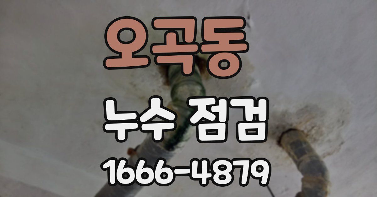 오곡동 누수 점검