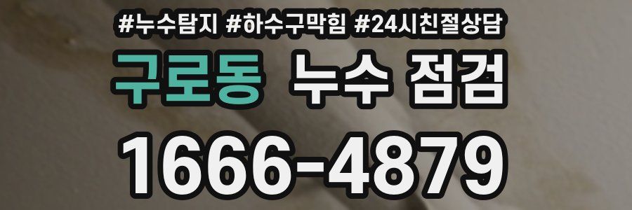 구로동 누수 점검