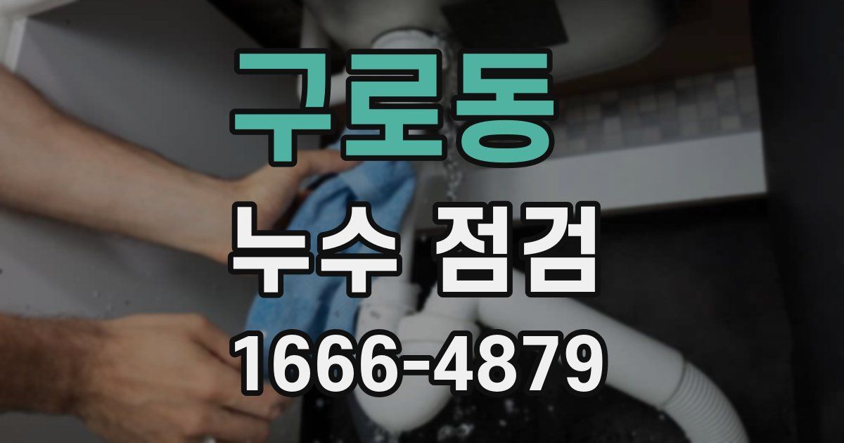 구로동 누수 점검