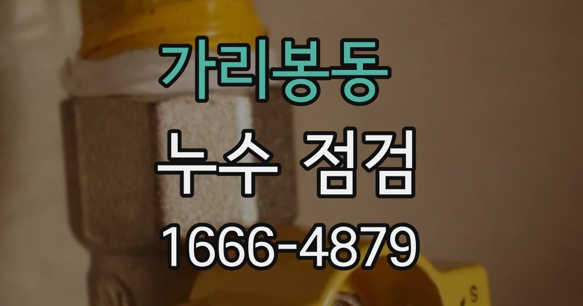 가리봉동 누수 점검