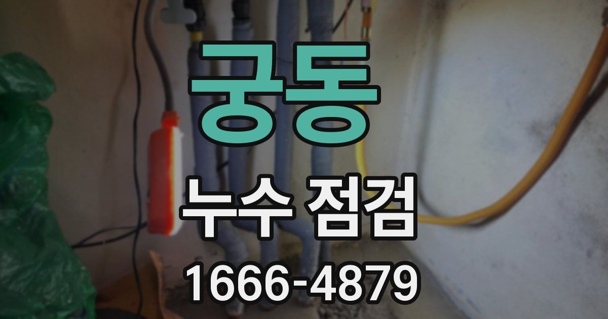 궁동 누수 점검