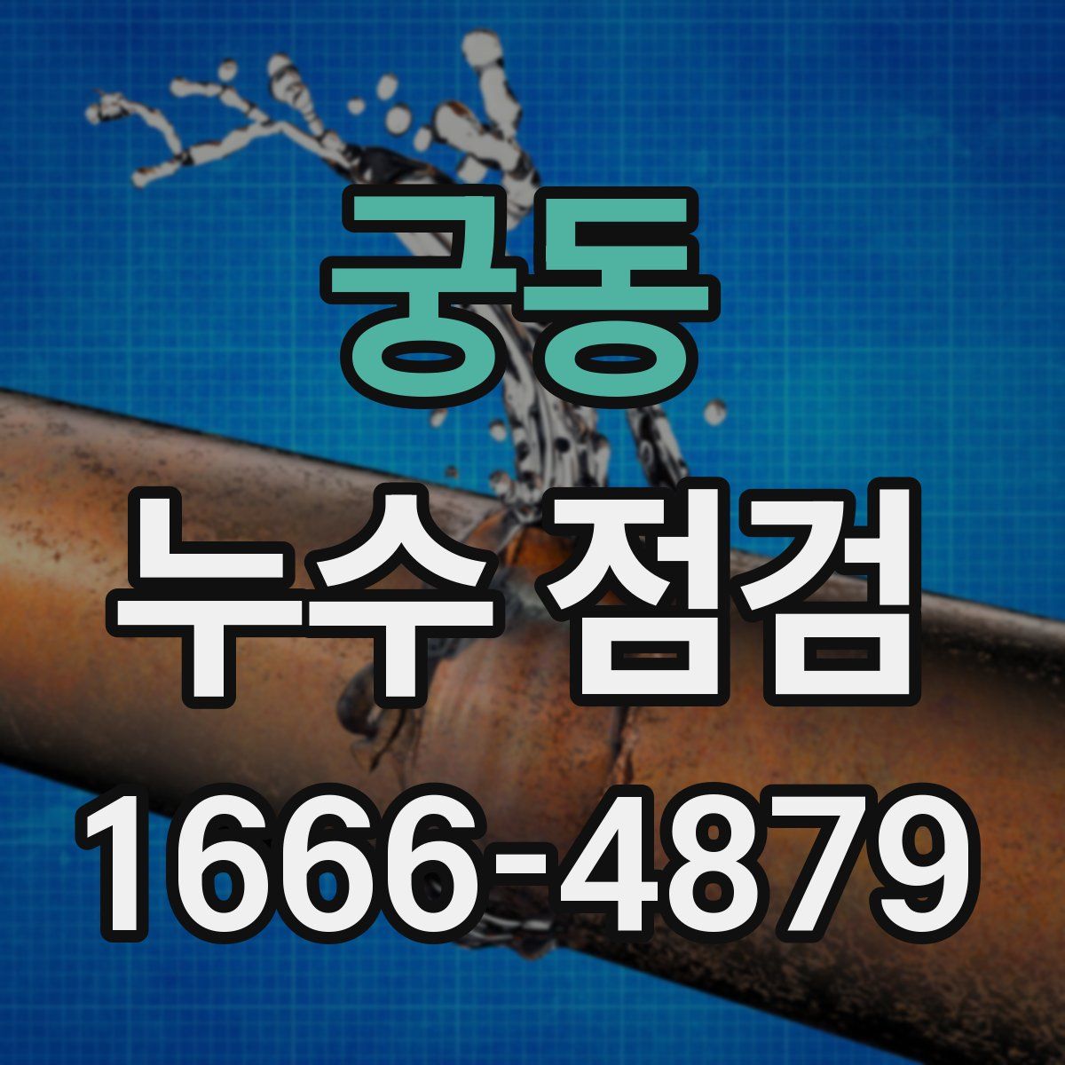 궁동 누수 점검