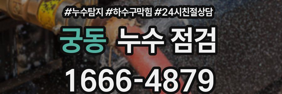 궁동 누수 점검