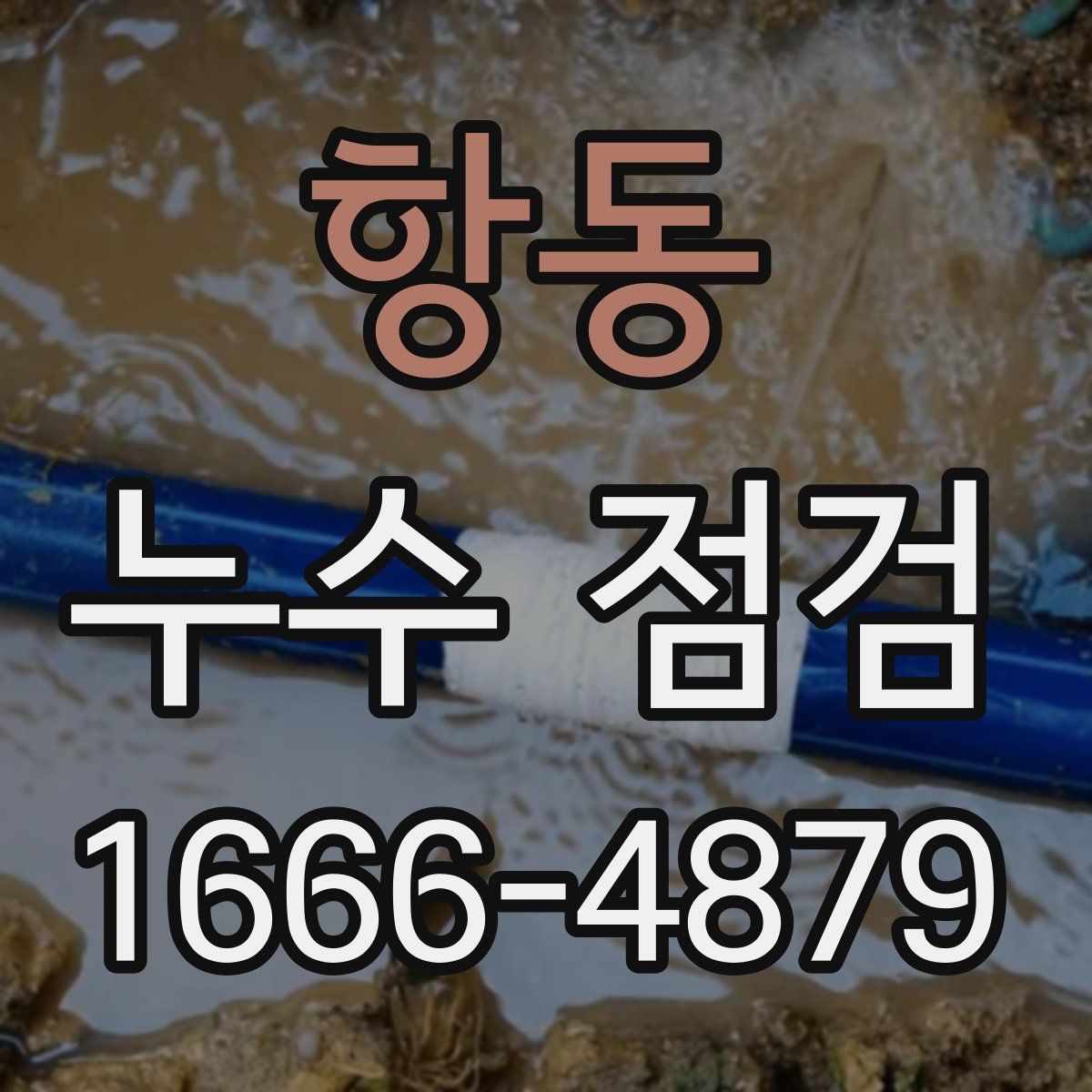 항동 누수 점검