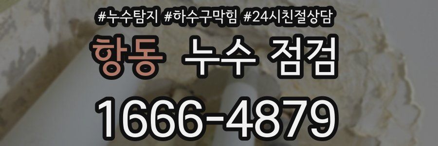 항동 누수 점검