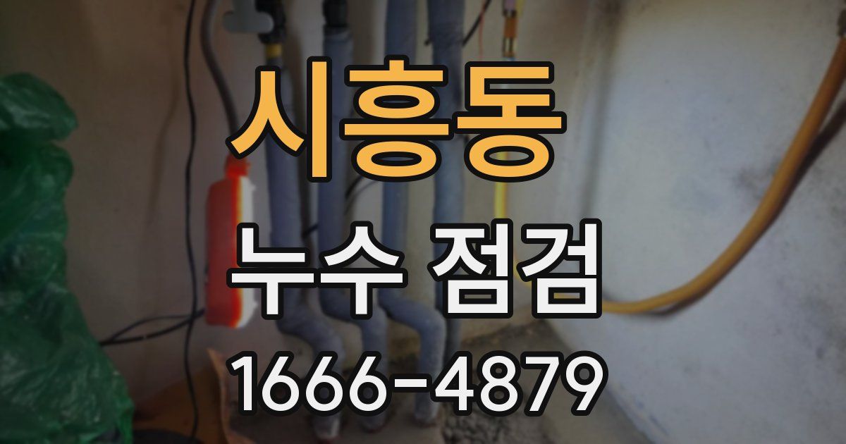 시흥동 누수 점검