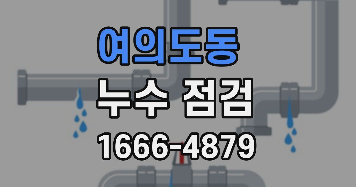 여의도동 누수 점검