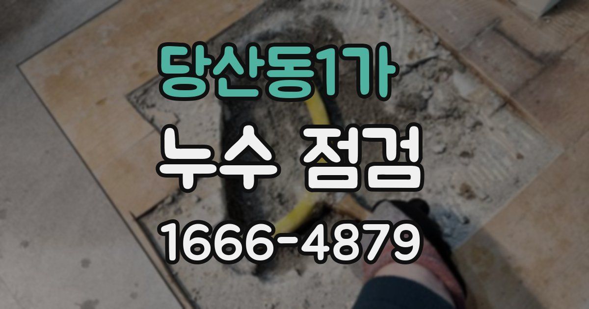당산동1가 누수 점검