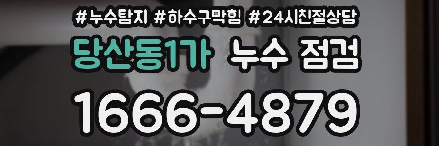 당산동1가 누수 점검