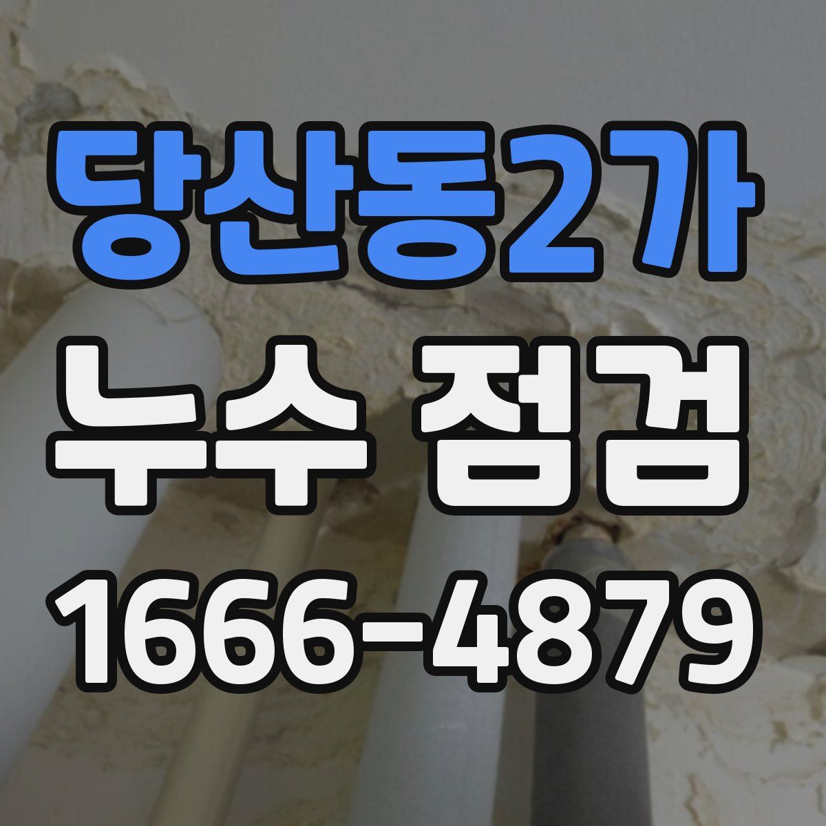 당산동2가 누수 점검