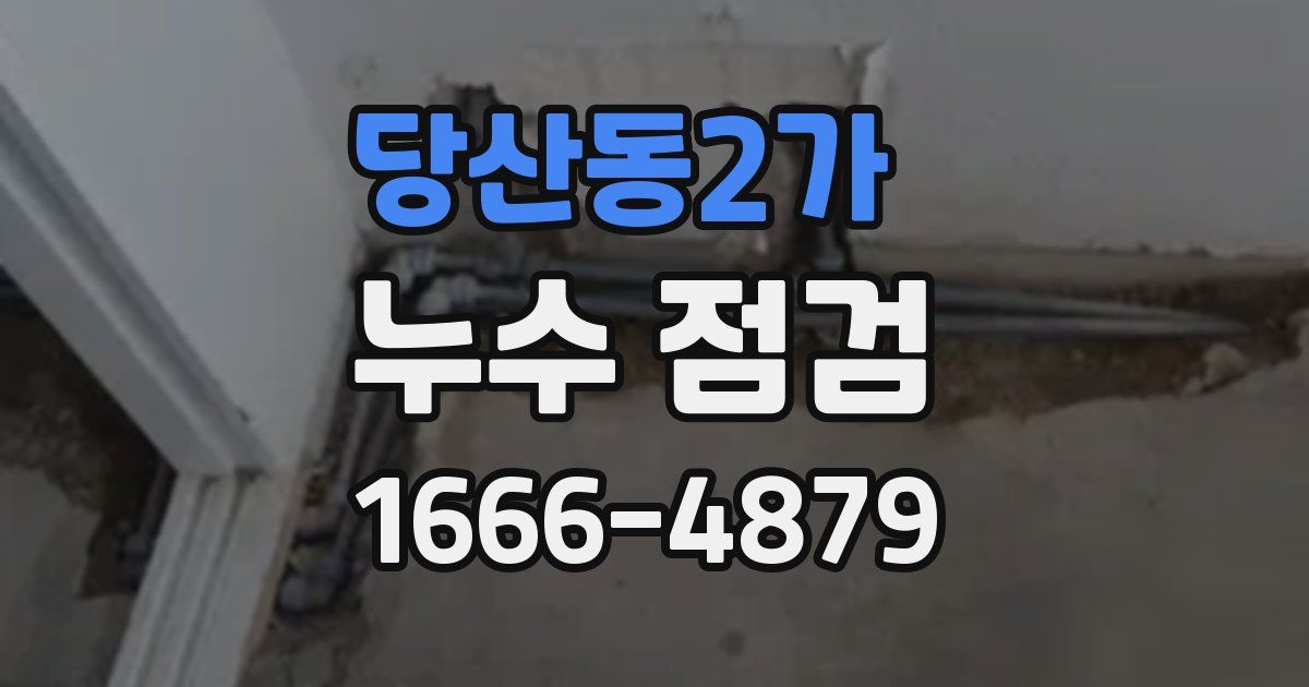 당산동2가 누수 점검