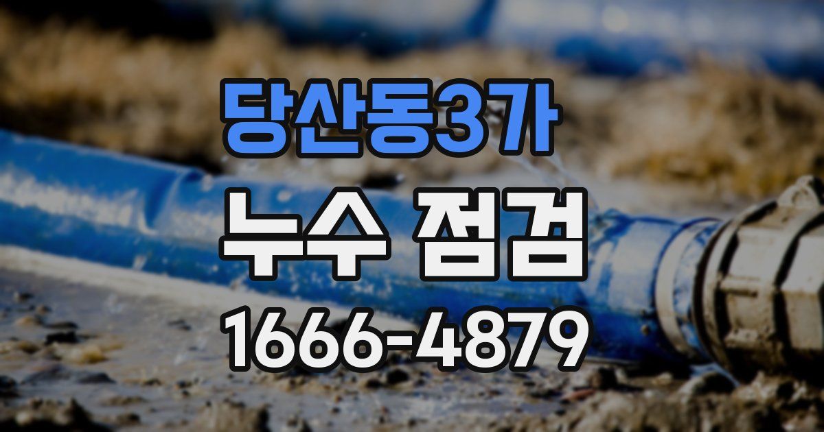 당산동3가 누수 점검