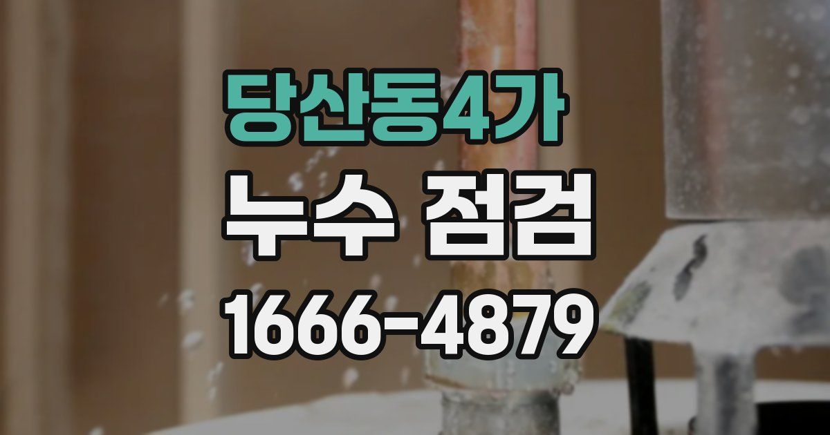 당산동4가 누수 점검