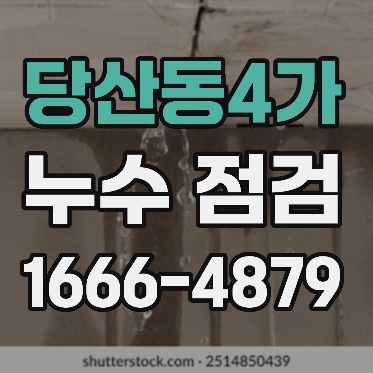 당산동4가 누수 점검