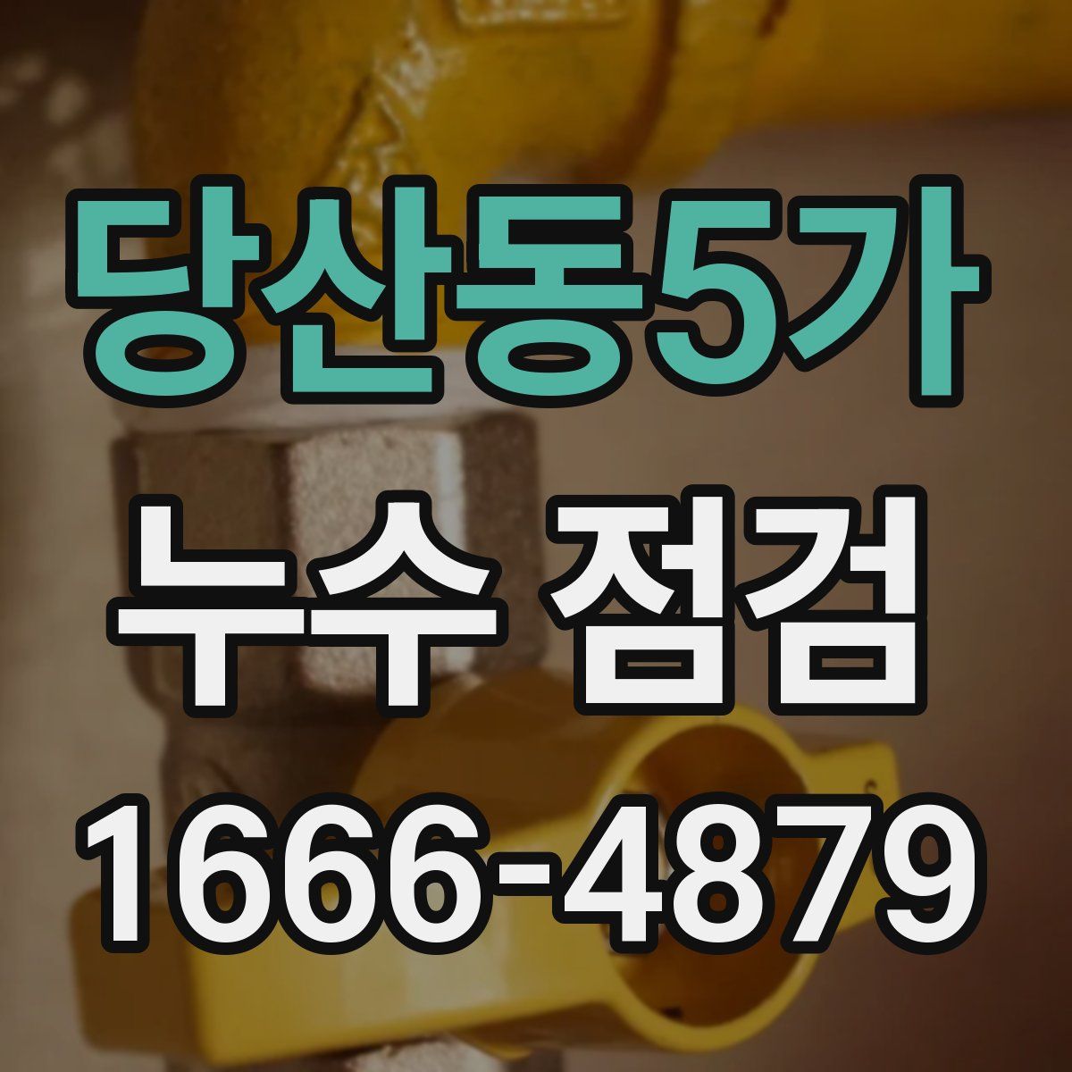 당산동5가 누수 점검