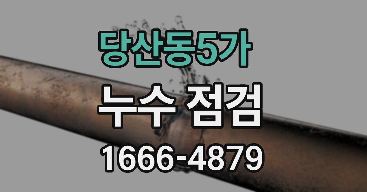 당산동5가 누수 점검