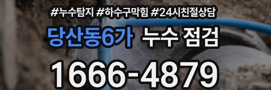 당산동6가 누수 점검
