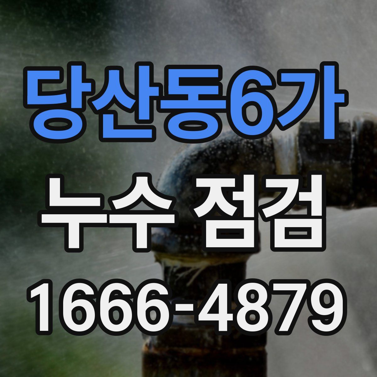 당산동6가 누수 점검
