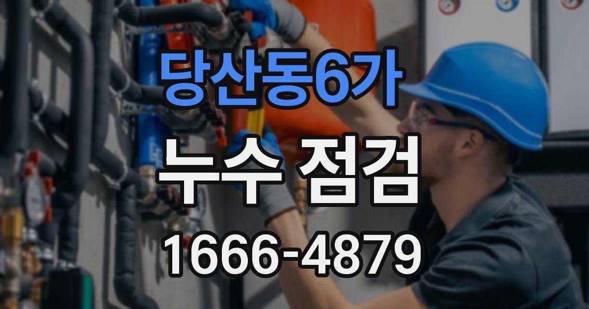 당산동6가 누수 점검