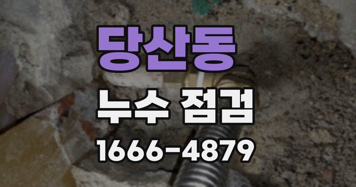 당산동 누수 점검