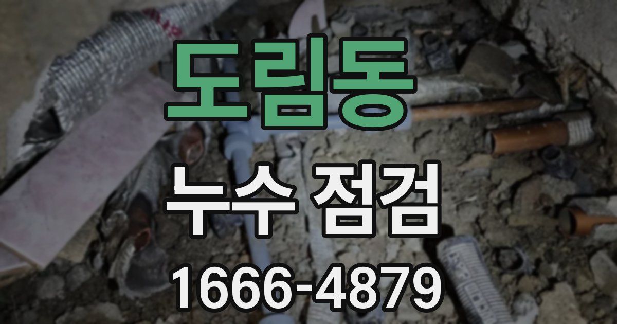 도림동 누수 점검