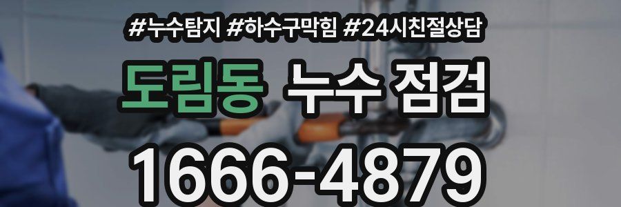 도림동 누수 점검
