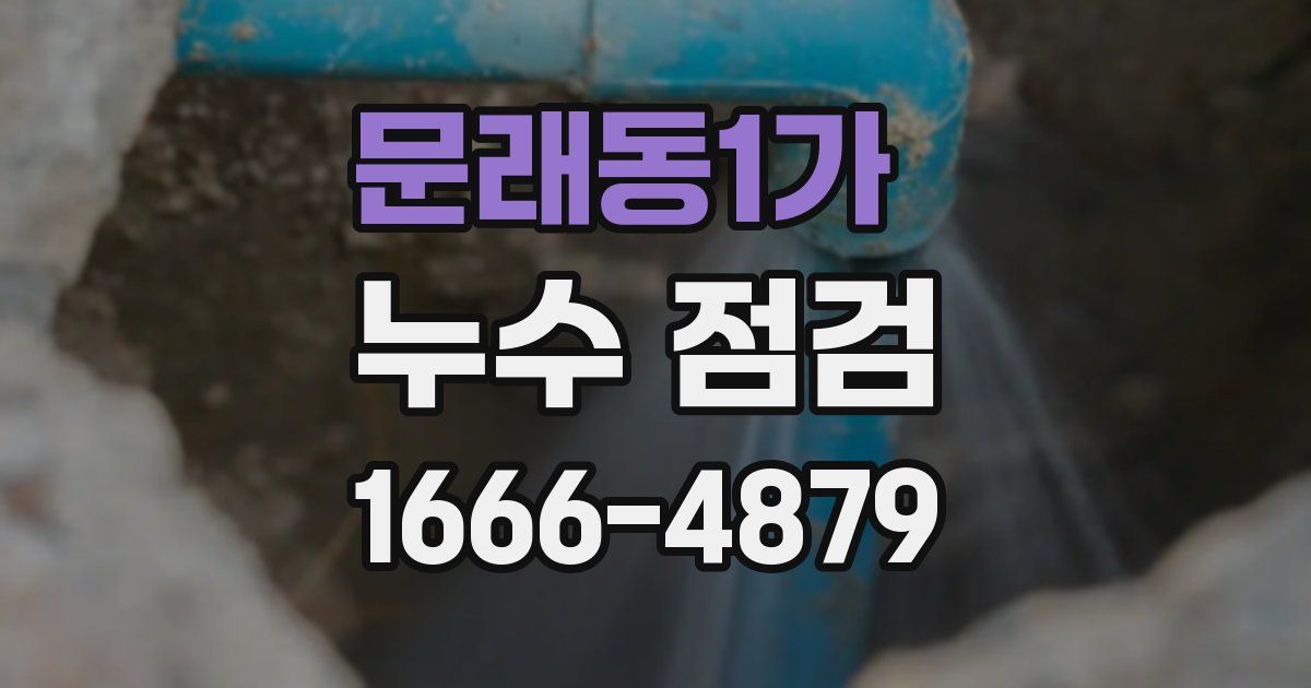 문래동1가 누수 점검