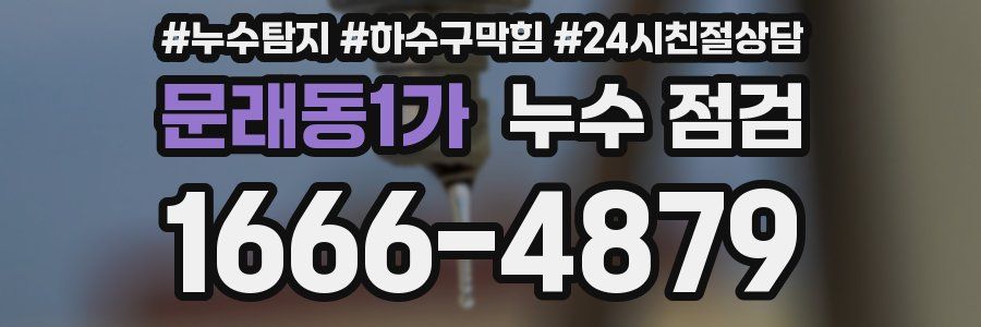 문래동1가 누수 점검