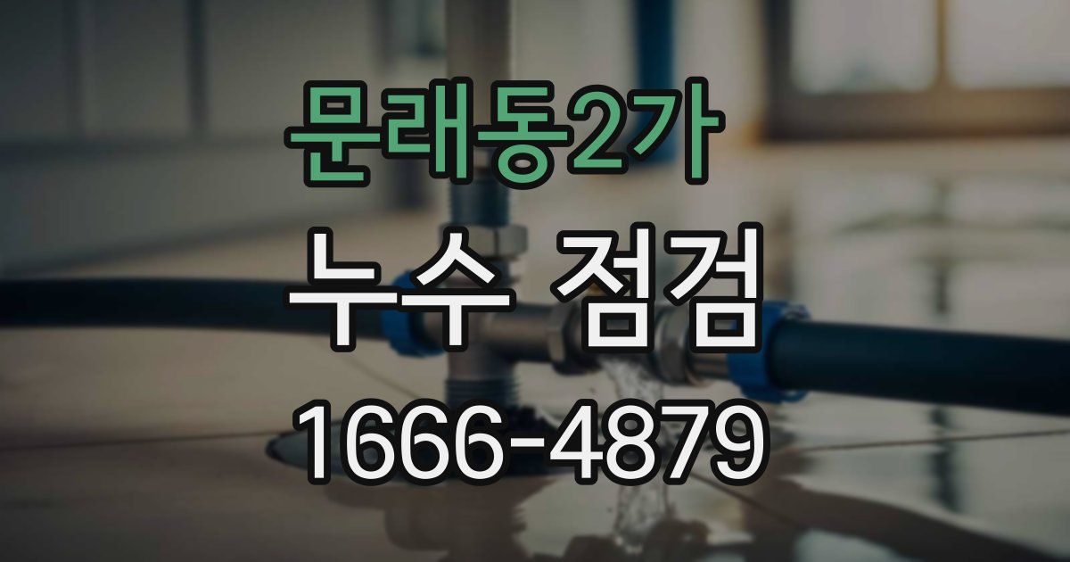 문래동2가 누수 점검