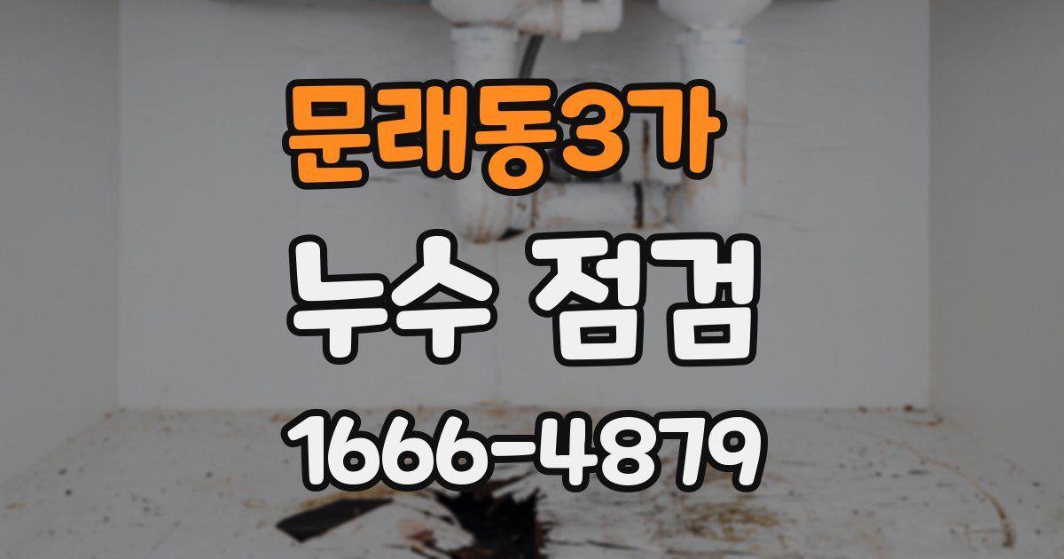 문래동3가 누수 점검