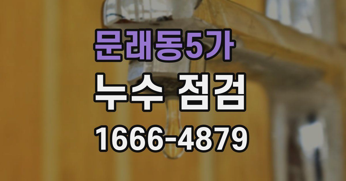 문래동5가 누수 점검