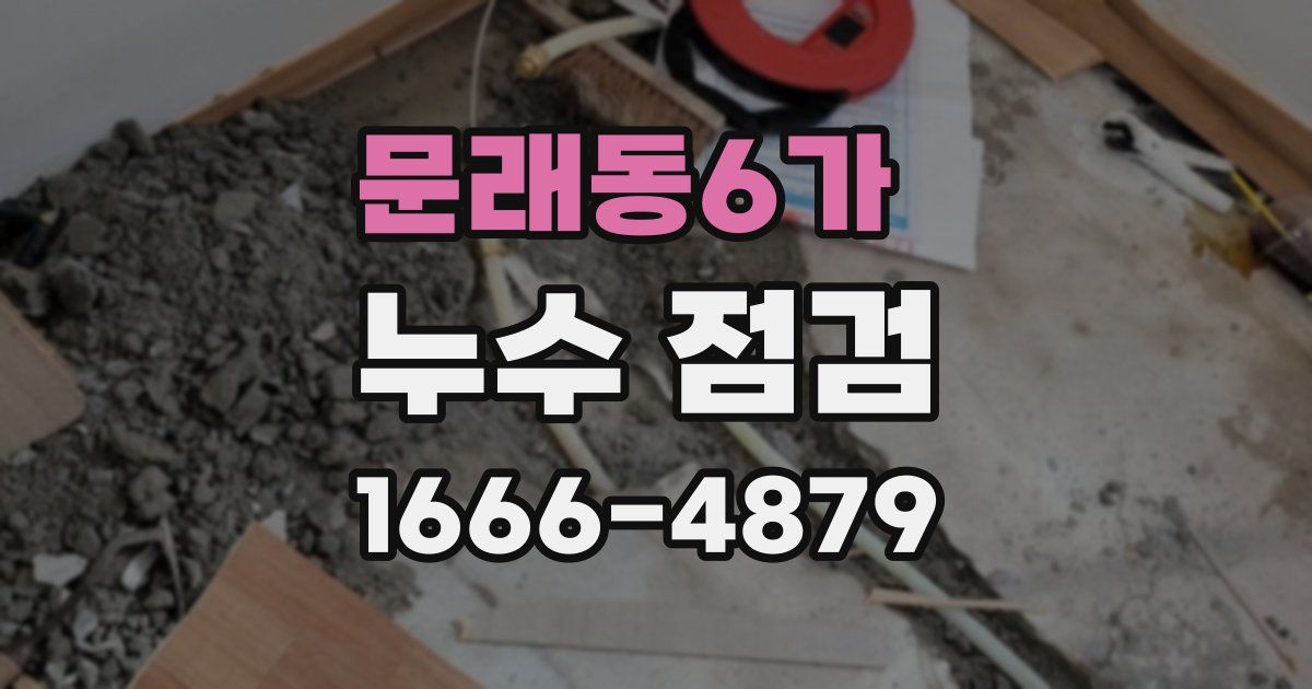 문래동6가 누수 점검