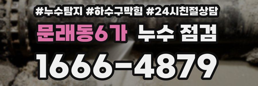 문래동6가 누수 점검