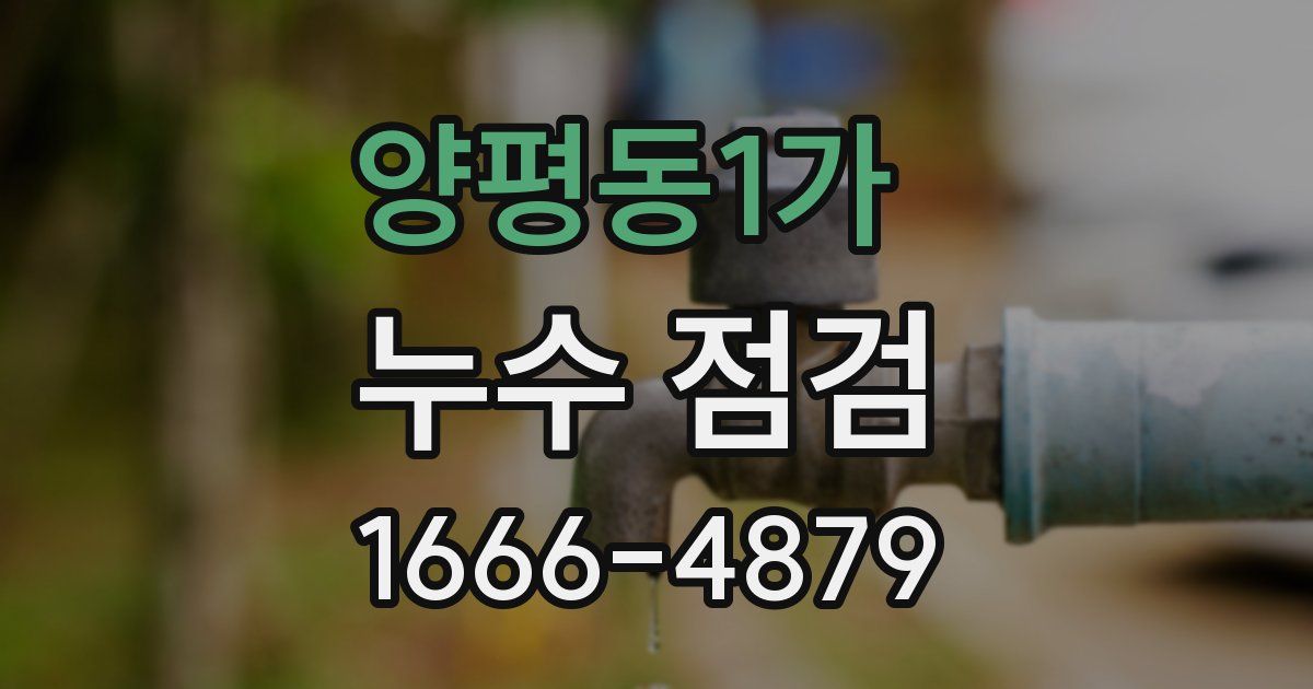 양평동1가 누수 점검