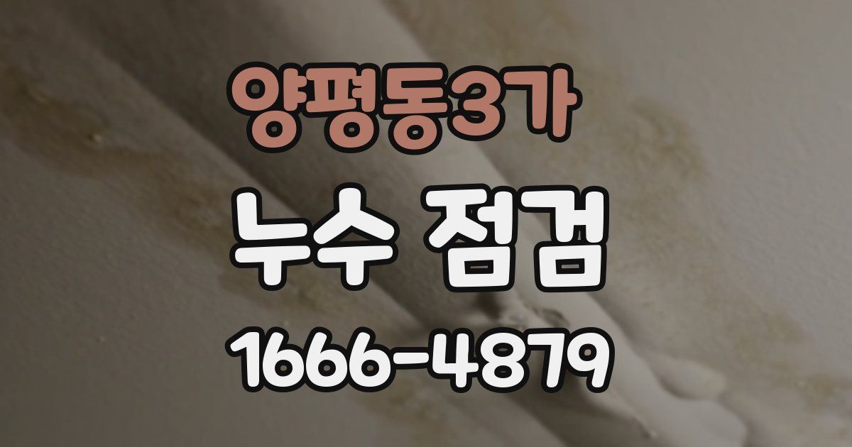양평동3가 누수 점검