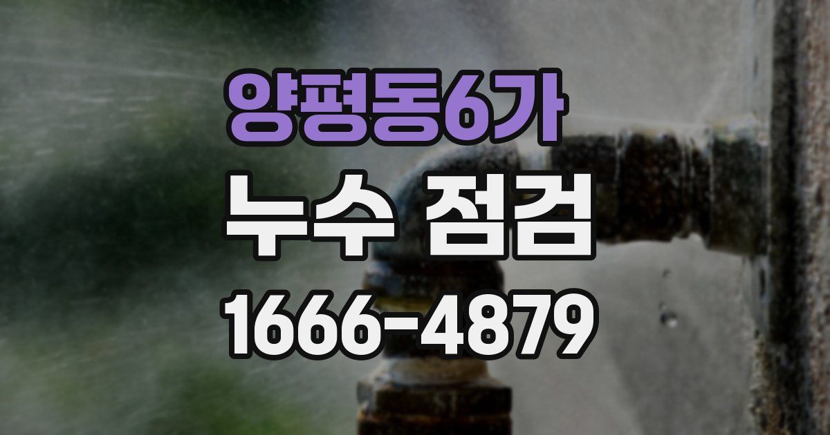 양평동6가 누수 점검